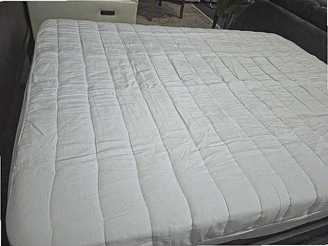 Sobel Westex Ni Nights King Mattress Pad Polyester White